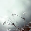 Юлія Довгань фотография #20 (источник - https://vk.com/id77696009)