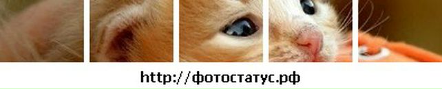 Мариам Глаголева фотография #18 (источник - https://vk.com/id3770974)