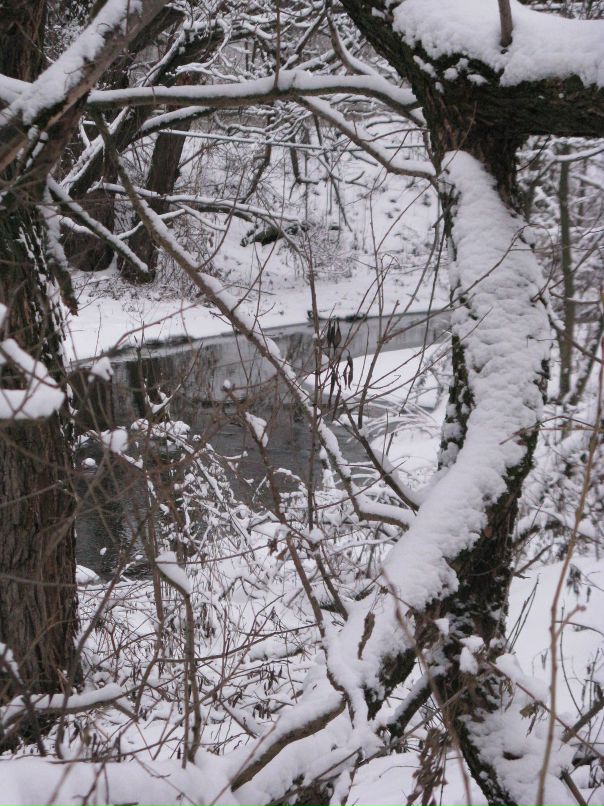 Мария Бильчук фотография #12