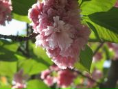 Жанна Дорофеєва фотография #37 (источник - https://vk.com/id86980156)