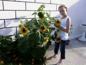 Настусік Калюжна фотография #30 (источник - https://vk.com/id55856655)
