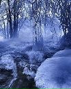 Діана Бойко фотография #6 (источник - https://vk.com/id155748385)