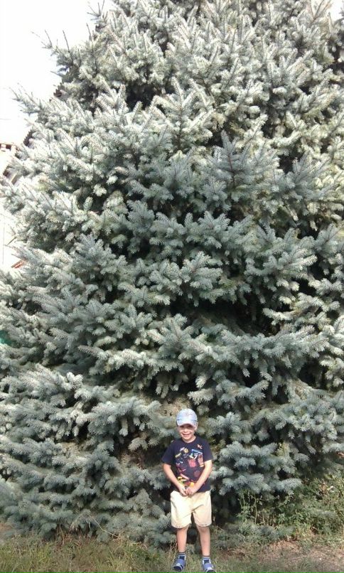 Евгений Коваленко фотография #44