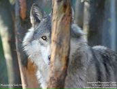 Фотография Мурзаевой Анны