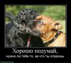 Міша Топоринський фотография #29 (источник - https://vk.com/id62491474)