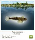 Платон Білинський фотография #22 (источник - https://vk.com/id136798686)