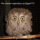 Сергій Котович фотография #23 (источник - https://vk.com/id122436270)