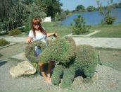 Фотография Panevina Kristi