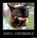 Юрій Лисий фотография #26 (источник - https://vk.com/id50758008)