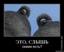 Лёша Чёткий фотография #3 (источник - https://vk.com/id165905891)