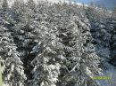 Beşir Deler фотография #28 (источник - https://vk.com/id142785564)