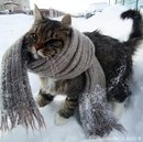 Фотография Бусыгин Борис