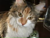 Фотография Бучковой Анны