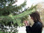 Фотография Мочалов Дмитрий