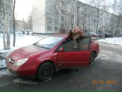 Фотография Павлова Евгения