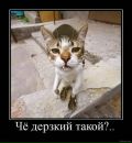 Віталік Семененко фотография #34 (источник - https://vk.com/id113968269)