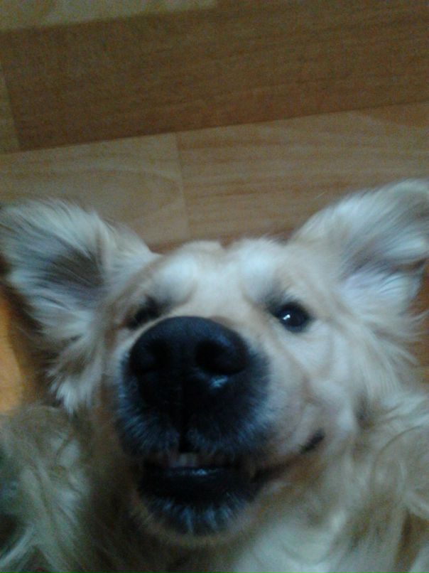 Rodger Brown фотография #30