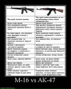 Николай Бердников фотография #11 (источник - https://vk.com/id1941204)