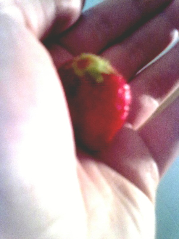 Jonathan Monroe фотография #10