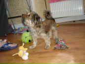 Иван Андреев фотография #37 (источник - https://vk.com/id2534545)