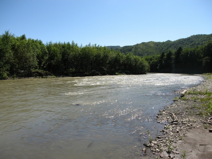 Иван Баянкин фотография #50