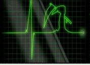 Фотография Себедаша Николая