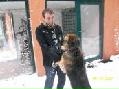 Veli Ekiz фотография #20 (источник - https://vk.com/id88513660)