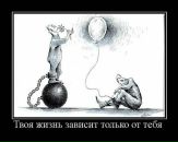 Тихон Батура фотография #46 (источник - https://vk.com/id2887115)