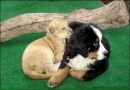 Ксюня ♥ фотография #22 (источник - https://vk.com/id154104825)