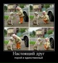 Іван Іванов фотография #16 (источник - https://vk.com/id12286885)