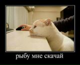 Віталій Хлібун фотография #11 (источник - https://vk.com/id18666309)