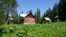 Іван Омелич фотография #37 (источник - https://vk.com/id29235052)