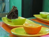 Фотография Тарасовой Иришки