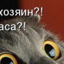 Діма Бричка фотография #21 (источник - https://vk.com/id137975523)