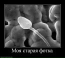 Фотография Самсонова Андрея