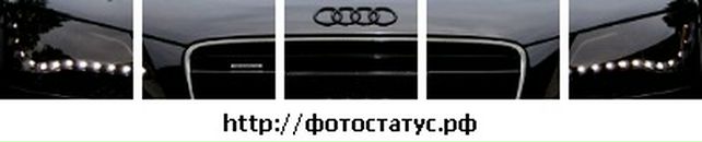 Олег Гаврилів фотография #14 (источник - https://vk.com/id69403683)