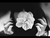 Фотография Шевченко Кати