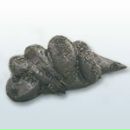 Денис Жажакін фотография #12 (источник - https://vk.com/id138610826)