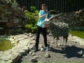 Фотография Зимарского Сергея