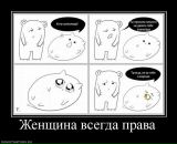 Денис Соловьев фотография #46 (источник - https://vk.com/id730284)