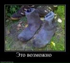 Денис Соловьев фотография #48 (источник - https://vk.com/id730284)