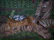 Елена Огун фотография #18 (источник - https://vk.com/id149126)