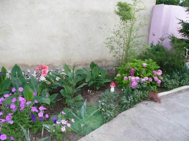 Виктор Левченко фото №32