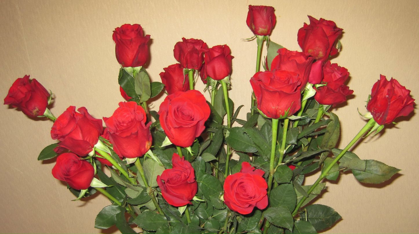 Инна И фотография #40