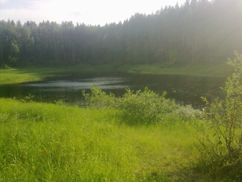 Коля Уланкин фотография #33