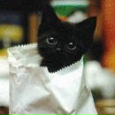 Фотография Кошкиной Мальвины