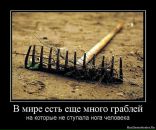 Оксана Калиниченко фотография #30 (источник - https://vk.com/id2298249)