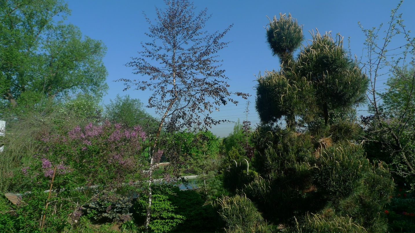 Георгий Никитенко фотография #43