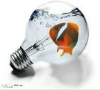 Фотография Шумиловой Вероники