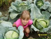 Фотография Гармашовой Татьяны